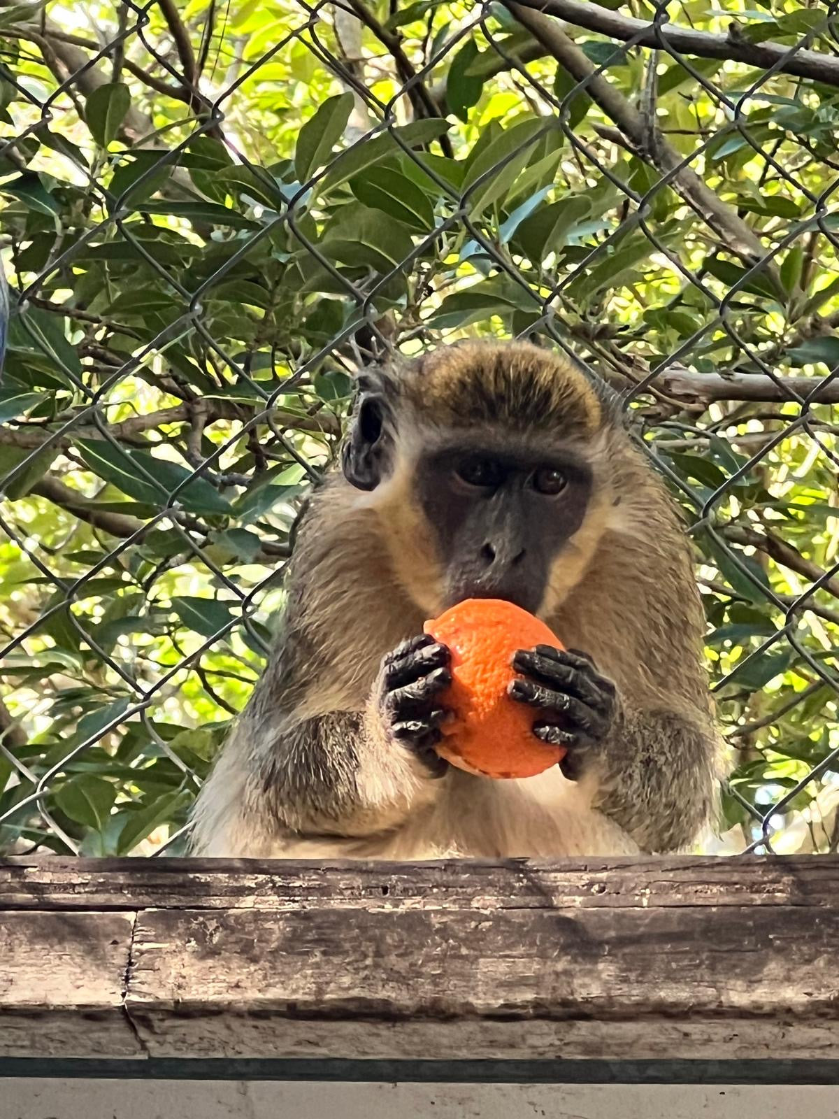 Become A Produce Partner