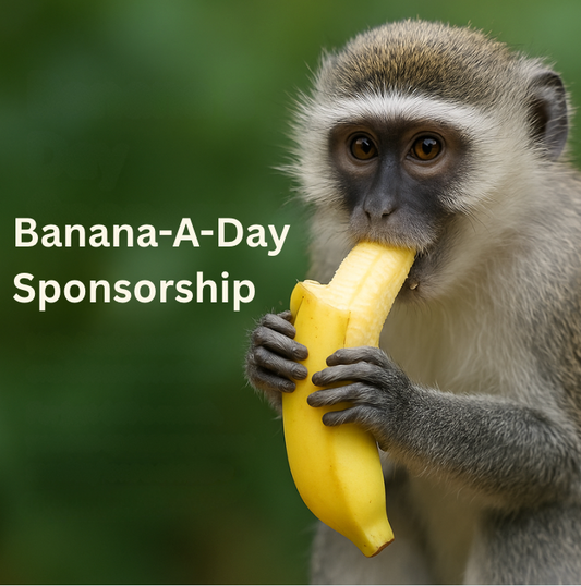 A Banana A Day Sponsorship