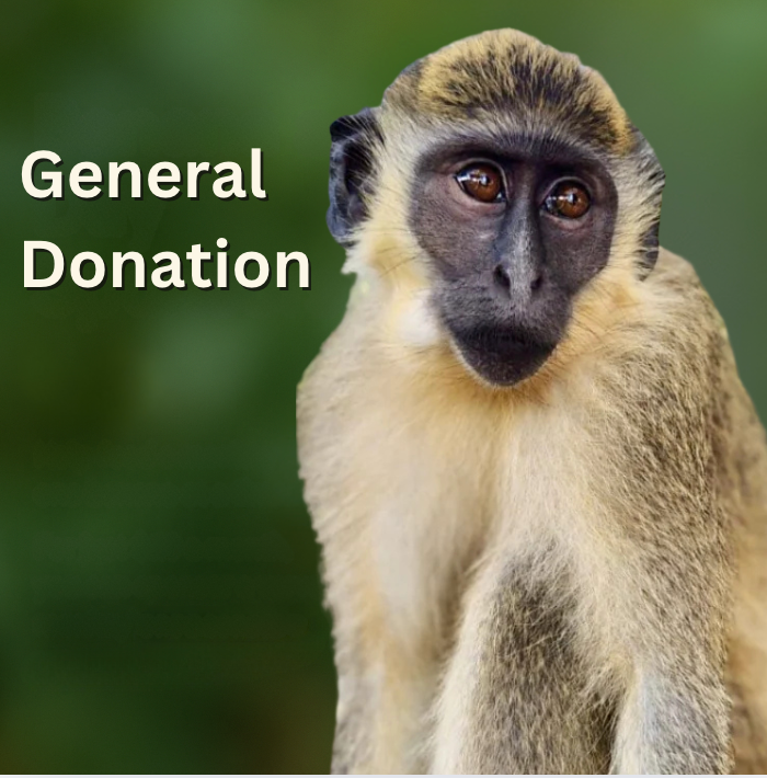 Make a Donation To Support Our Mission