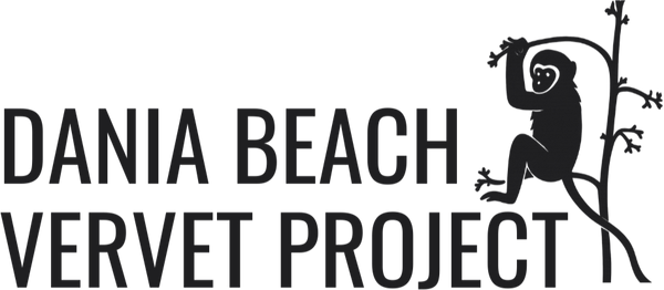 Dania Beach Vervet Project logo (dark)